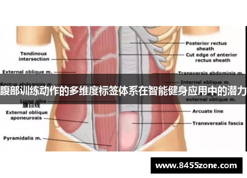 腹部训练动作的多维度标签体系在智能健身应用中的潜力